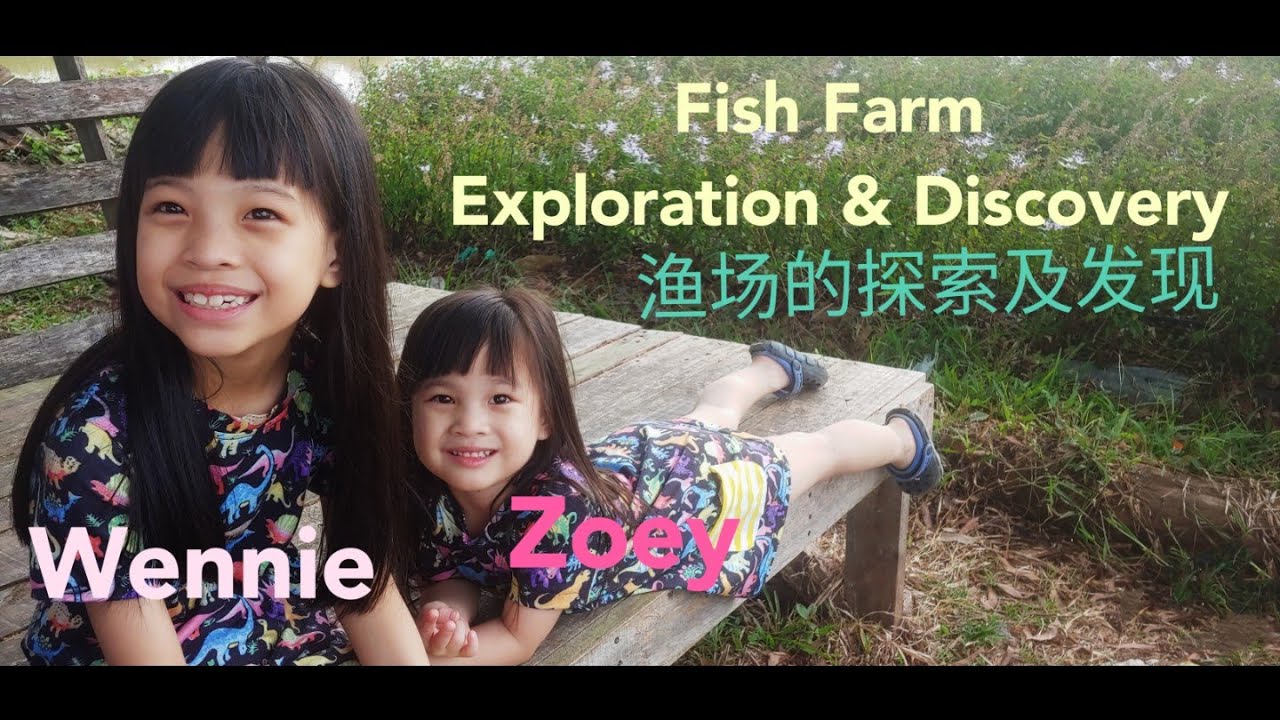 Fish Farm Exploration and Discovery _ 渔场的探索与发现 _ Wennie Zoey _ 2022 _ Fun holidays activities