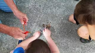 Webelos - Fire starting