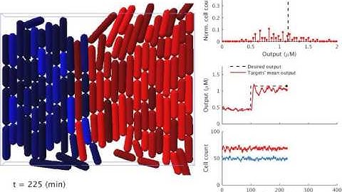 Agent-based simulation of consortium set-point control, with growth and parameter perturbation