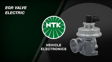 Electric EGR Valve | Location, Function & Decoding Product Codes