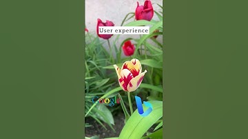 What is Technical SEO?