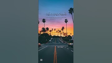 قران كريم #shortvideo #حالات_واتس #اكسبلور #ياسر_الدوسري #راحة_نفسية #قرآن #تيك_توك #ترند #لايك