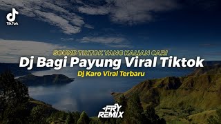 Dj Bagi Payung Viral Tiktok - Dessy Anggreini || Ini Sound Tiktok Yang Kalian Cari || FRY REMIX