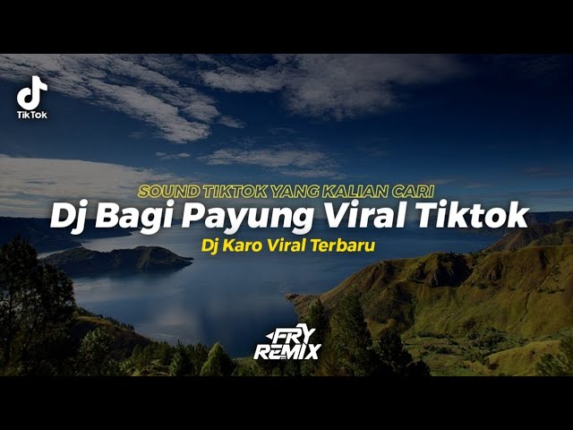 Dj Bagi Payung Viral Tiktok - Dessy Anggreini || Ini Sound Tiktok Yang Kalian Cari || FRY REMIX class=