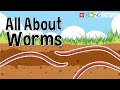 Worms: Characteristics and Habitats