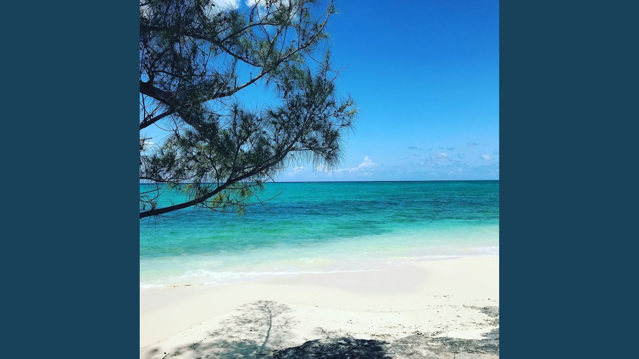 Ver Shake It To The Max (FLY) en YouTube