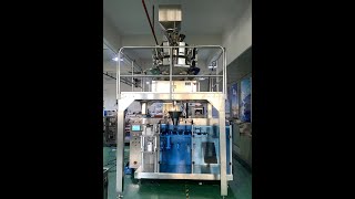 LDSP-210 Horizontal Premade Pouch Packing Machine for Corn/Popcorn/Cereal balls/Chips/ Nuts/granular