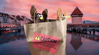 【Puppet Skit】Dum Dums Over 'Dere!