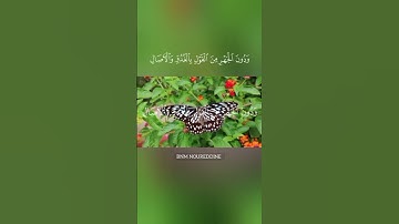 #تلاوة_هادئة #القارئ_ياسر_الدوسري ❣️#القرآن_الكريم #راحة_نفسية 🌷🕋🌷