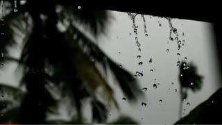 Rainy Mood💕Vaseegara Instrumental Love Bgm💕Rain Whatsapp Status💕Adai Mazhai Varum Athil Nanaivomey💕