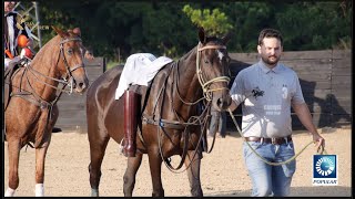 Torneo Formula Polo / Sierra Prieta/ 2da Parada