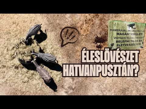 A LÖLŐ-ZEBRÁK fele ELTŰNT – Visszatértünk HATVANPUSZTÁRA