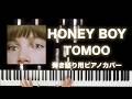 HONEY BOY / TOMOO [楽譜配信中]弾き語りフルカバー