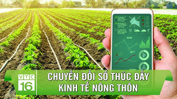 Vai trò của chuyển đổi số trong thúc đẩy kinh tế nông thôn | VTC16