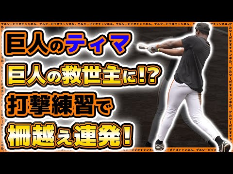 【巨人】ティマは規格外パワーで巨人の救世主に?柵越え連発!右の長距離砲のバッティング練習がエグ過ぎた!浅野翔吾も参加した二軍練習見学ハイライト|プロ野球ニュース
