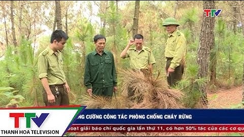 Tăng cường công tác phòng chống cháy rừng