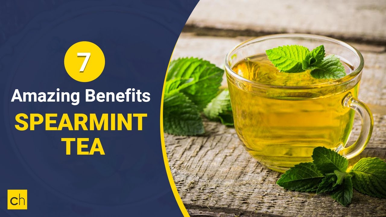 7 Amazing Benefits of Spearmint Tea- Credihealth 