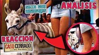ESTAS PERSONAS TENIAN S*X0 CON ESTE ANIMAL *sexo Cebra* | ANALIZANDO CASO CERRADO ESTAS PERSONAS TENIAN S*X0 CON ESTE ANIMAL *sexo Cebra* | ANALIZANDO CASO CERRADO
