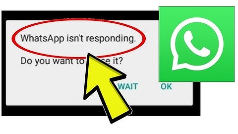 How To Fix WhatsApp isn