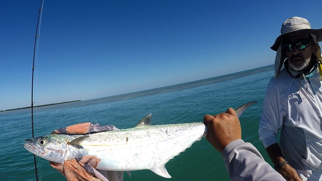 flats fishing belize Florida Keys Fishing - Cero's For David's Wife