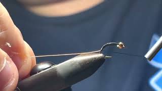 Zebra midge