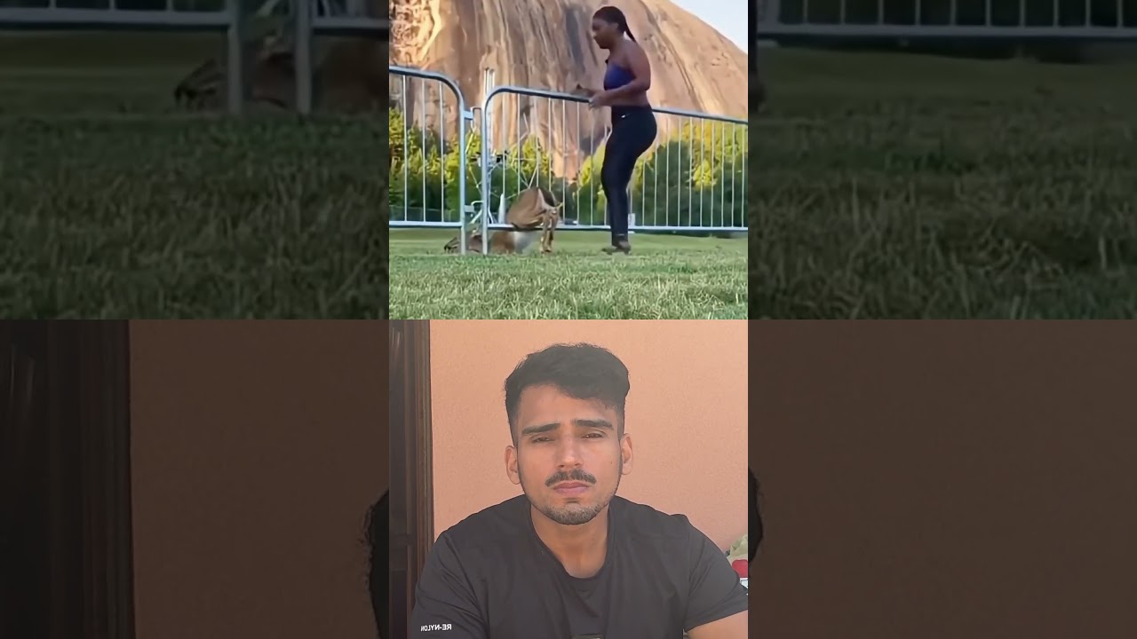 È caduta sopra 👆🏽 la pecora 🐑 😂 #ironia #risate #voralshort #fahadafzal #funny