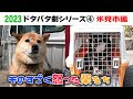 2023狂犬病予防注射会場のドタバタ劇④ 氷見市前編