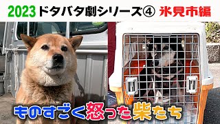 2023狂犬病予防注射会場のドタバタ劇④ 氷見市前編