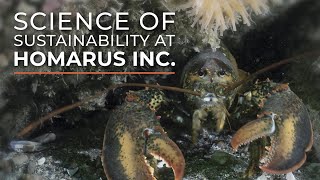 Homarus Inc. - The Science of Sustainability @FisheriesCanada