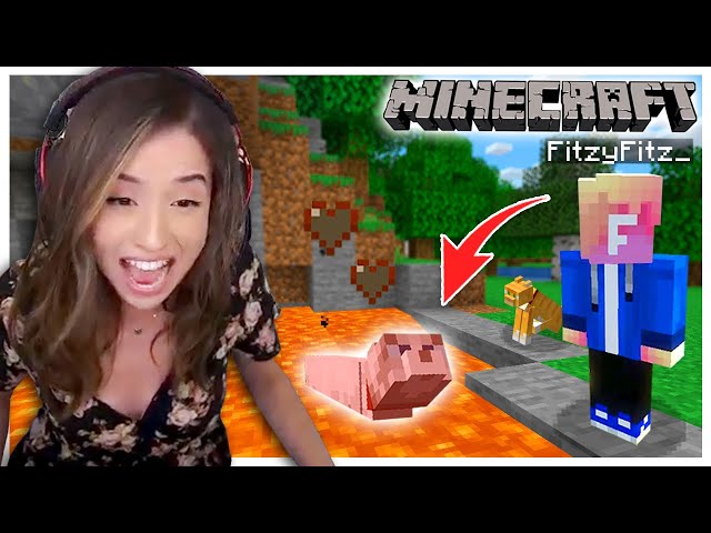 Poki & Fitz Pt 8  First time in Minecraft NETHER with Fitz! :D He  apologized for hurting my pet cat, we worked on the house, and went to the  Nether for