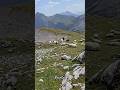🏔🐑 Reintal beyond the Zugspitze on August 13, 2025. #reintal #zugspitze #partnach #garmisch #alpen