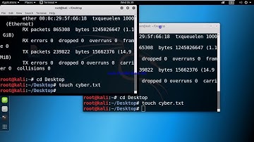 Kali Linux basic commands part 1 (Complete Guide)