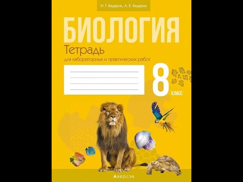 Биология. 8 класс. Тетрадь для лабораторных и практических работ