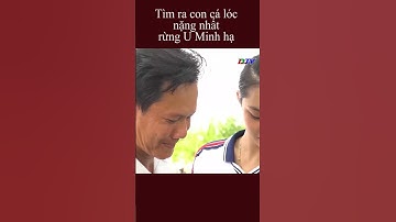 Tìm ra con cá lóc to nhất rừng U Minh hạ #shorts