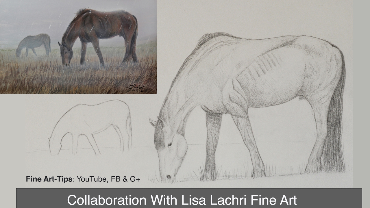 ⁣How to Draw and Paint a Horse Step by Step - Collab With Lachri Fine Art