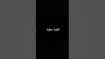 تلاوة عطرة #القرآن_الكريم #ارحقلبك #راحة_نفسية #صلوا_على_النبي #تلاوات
