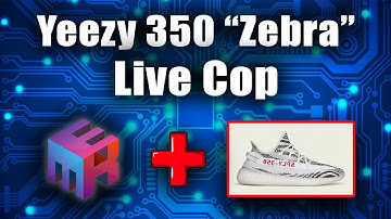 Botting the Yeezy Boost 350 Zebra with MekAIO (LIVE COP EP 1)