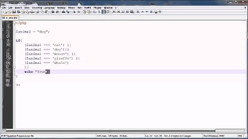 PHP Tutorial: How To: Shorten If Statements [Quick Tip]