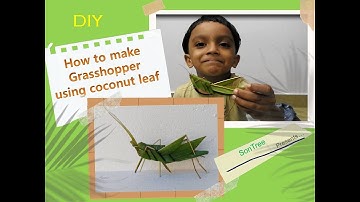 Coconut leaf craft | How to make grasshopper with coconut leaf
