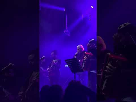 אלי לוזון קפה בשניים נערת החלומות ילדה חתול בשק בארבי נמל יפו 27 1 2025 