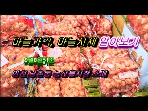 마늘가격, 마늘시세 알아보기, 9월8일기준 인천 남촌동 농산물도매시장 소매가격