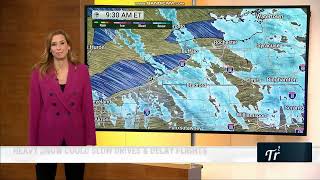 Stephanie Abrams NICE SUIT 11 11 2025