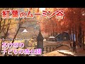 紅葉のムーミン谷を訪ねてみた【トーベ・ヤンソンあけぼの子どもの森公園】