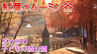 紅葉のムーミン谷を訪ねてみた【トーベ・ヤンソンあけぼの子どもの森公園】