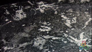Showing the Patterns Forming on the Plates and Some Microscope Footage