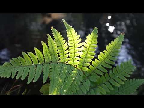 Spend a Day with me |Break Edition|