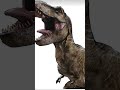 Burt yawns like a T rex