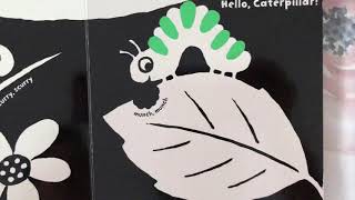Read Along | Hello, Bugs!