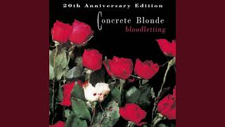 Concrete Blonde - Joey - 432Hz HD (lyrics in description)