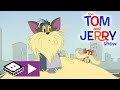Tom & Jerry | Detektivopplæring | Boomerang Norge